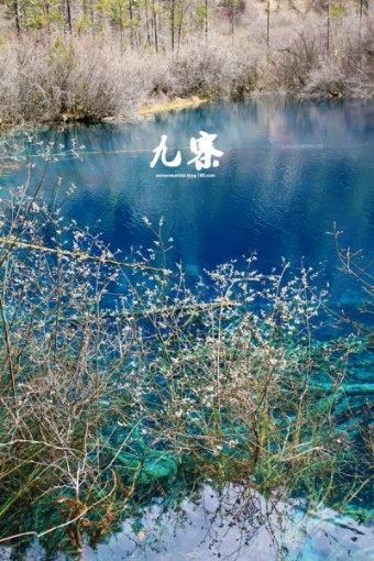 春运售票启动以来铁路已售车票2.3亿张