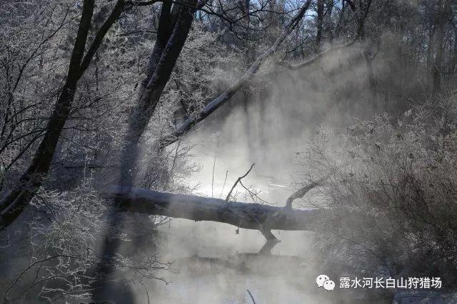 将“经济通道”转变为“通道经济”