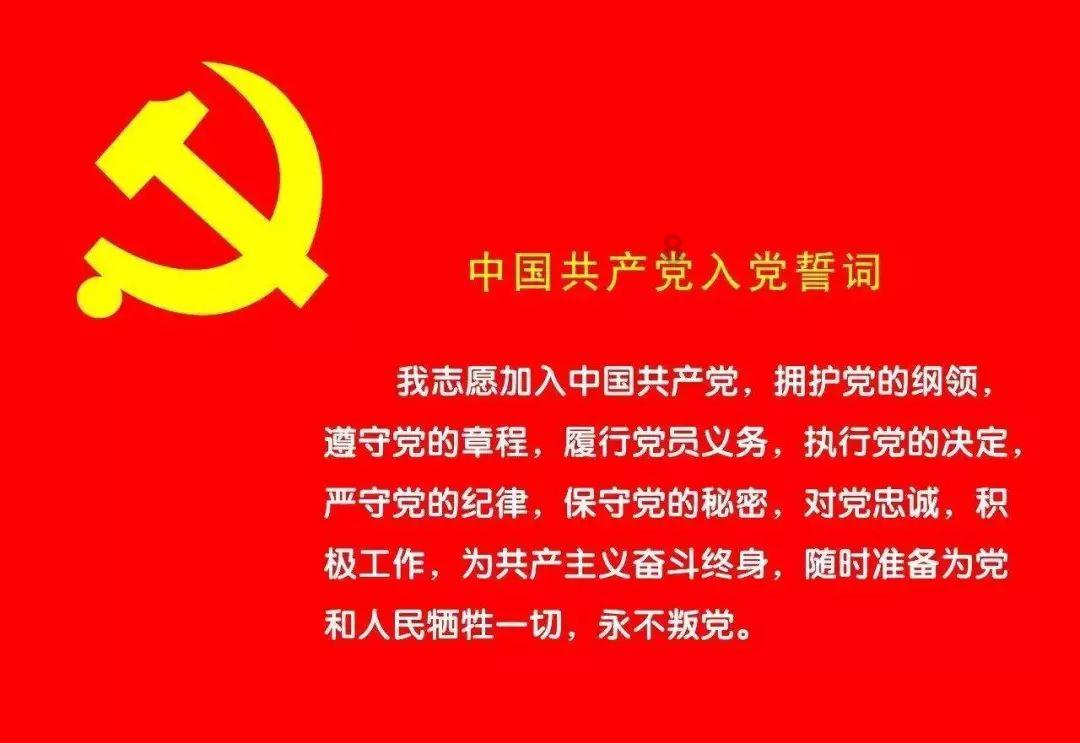 88影视