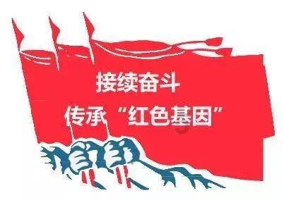圆白菜这样炒着吃，吃出万元保健品的效果，减肥又健康！