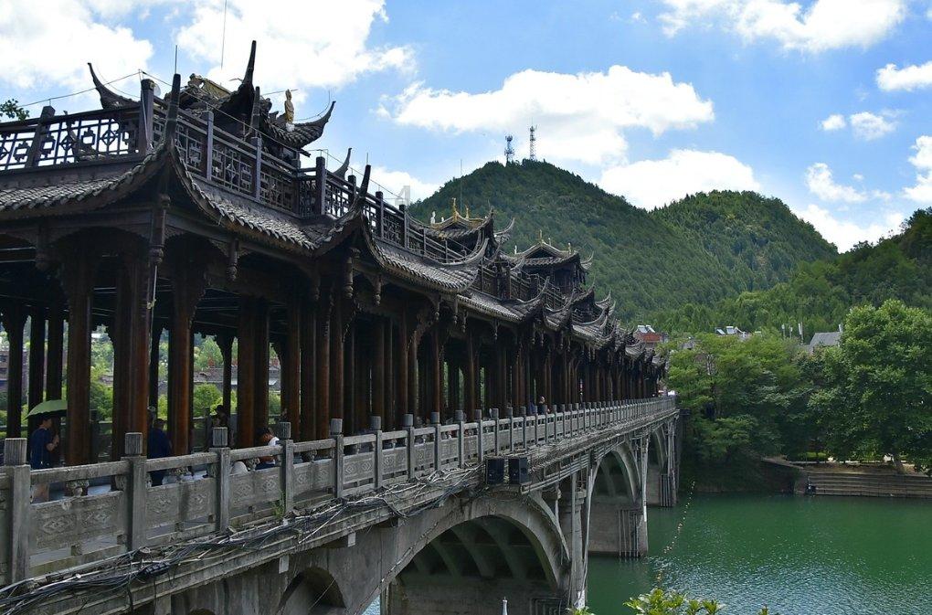 面对车流,它却没有任何躲避,也许,当它流浪那一刻,心也死了